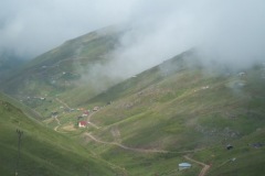 2011 Kadırga otçusu,hamsiköy,gizgine