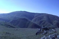 DSCF6019