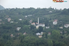 DSCF6202