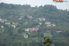 DSCF6203