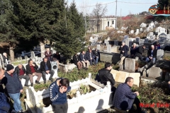 76735aac-3ed8-4ffa-be82-a8a246a45c1a