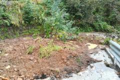 27217187-687c-4f1c-a430-a4bd76437ecc