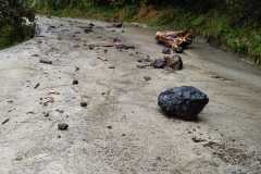 2cf53d50-329c-4a1f-a4f6-17aa83008e83