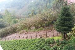 787cd500-20ce-48b8-a048-87de66f9ebc6