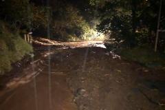 89d713e7-0796-4f15-839a-5d8d60061503