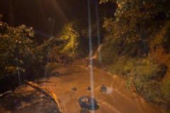 940f2900-8b5a-4d88-92ff-d9e1a2f47497