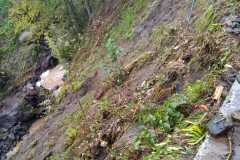 94ed237d-5398-4a03-9db8-5c479f3e0ec7