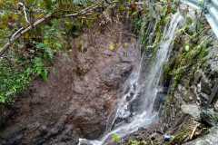 a306bf93-86f2-4251-a8ea-2b253cb98de9