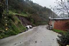 becb556c-191e-4aaf-a68f-aa5954d82217