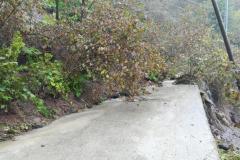 c7a3fcce-a064-4f89-913a-e2995c56fecd