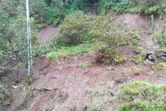 e25e1bd7-d12b-4bd5-b3c6-84b3ec965a4e