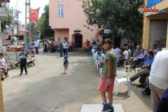 IMG_0568