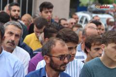 IMG_0877
