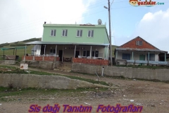 DSCF6884