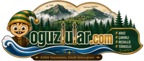 oguzlular.com