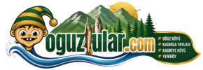 oguzlular.com