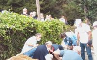 IMG_20210715_130824_157_copy_871x542